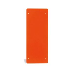 Placa CTP 300 / 310 / 400 E 410